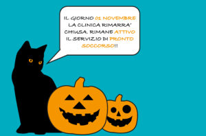 HALLOWEEN-CLINICA-VETERINARIA-TIMAVO-MONFALCONE1