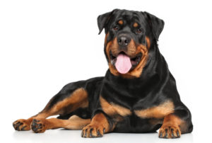 fotolia_80512914-768×516-1